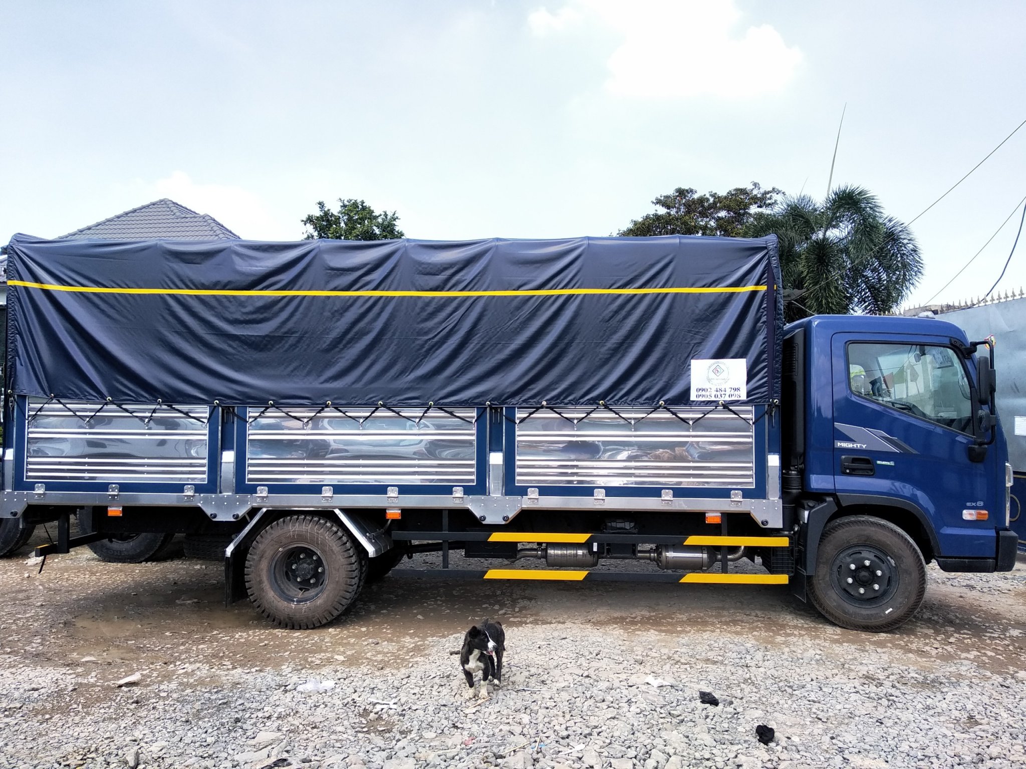 hyundai mighty ex8 cabin vuông